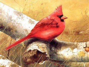 Avian Artwork Tile Assembly