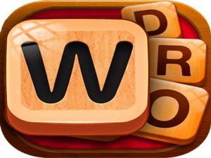 Letter Hunt Word Puzzle