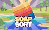 Soap Sort: Puzzle & Toy Assembly