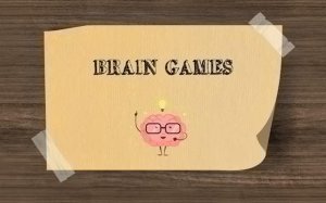 Brain Games: Logic Puzzles & Riddles - Ludoryx free online game