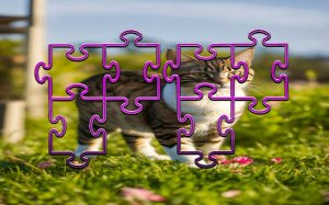 Cat Jigsaw Puzzle Frenzy: Feline Slide Puzzle Game
