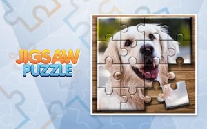 Jigsaw Puzzle Game: Animal & World