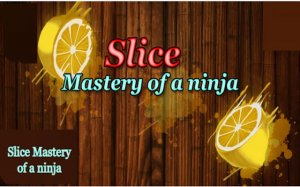 Slice Mastery of a Ninja - Fruit Slicing Game Online - Ludoryx free online game