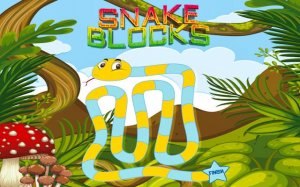 Snake Blocks Puzzle Game