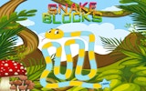 Snake Blocks Puzzle Game