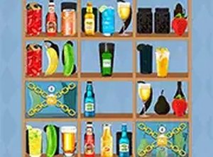 Sort The Shelves Online Puzzle Game - Ludoryx free online game