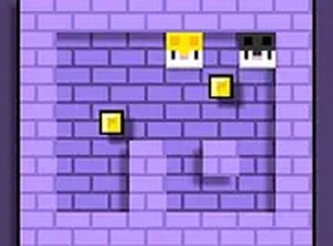 Whisker Duo Coin Chase