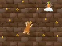 Carrot Climber Online Game
